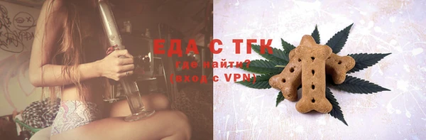 стаф Арсеньев