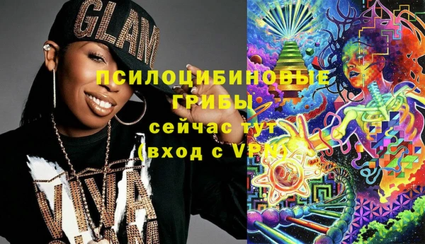 стаф Арсеньев
