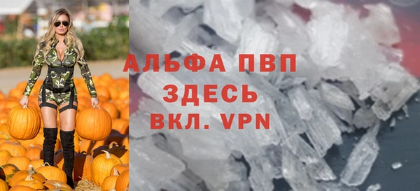 стаф Арсеньев
